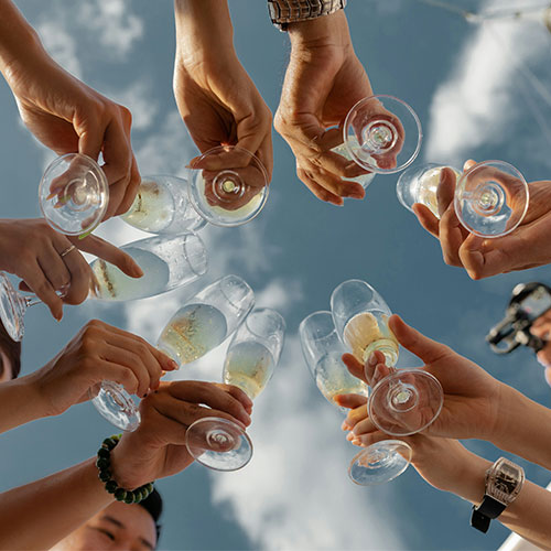 people having a toast